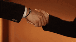Siyali Rajpu Awkward Handshake GIF