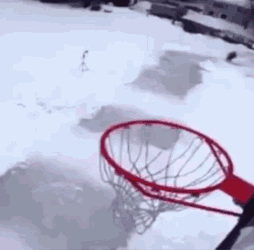 Skating Basketball GIF