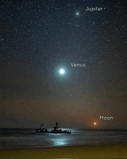 Skeleton Coast Namibia Meme GIF