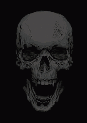 Skeleton Colorful Skull