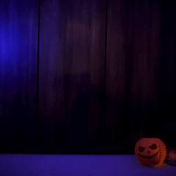 Skeleton Dance Halloween Pumpkin  GIF