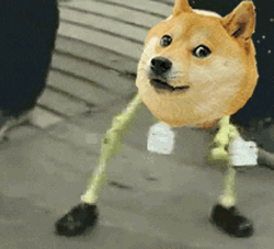 Skeleton Dancing Doge GIF