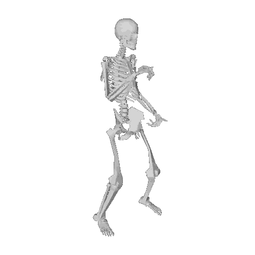 Skeleton Dancing Sticker