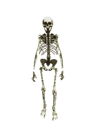 Skeleton Dancing With Skull Sticker