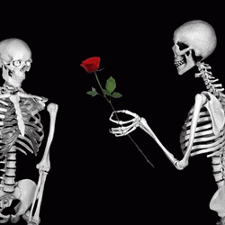 Skeleton Giving Roses