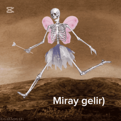 Skeleton In Fairy Costume With Miray Gelir GIF