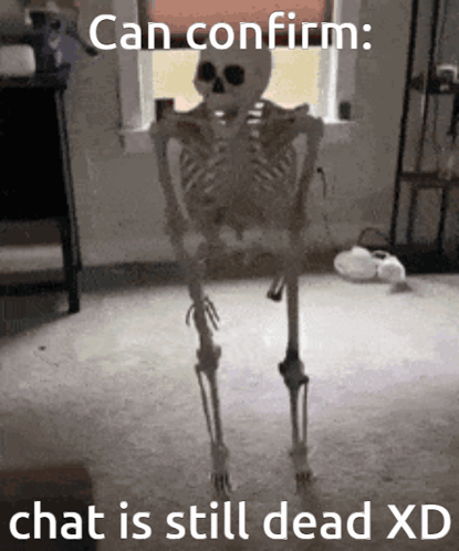 Skeleton In Front Of Window Can Confirm Chat Is Still Dead XD GIF