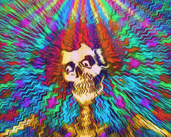Skeleton Jerry Garcia GIF