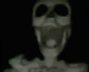 Skeleton Meme GIF