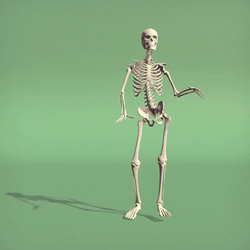Skeleton Motion Capture Dance Meme GIF