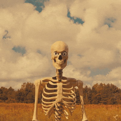 Skeleton Poster Saying How You Doing GIF