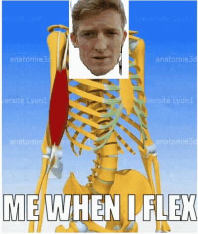 Skeleton Saying Me When I Flex GIF
