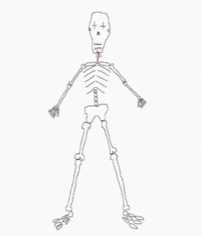 Skeleton Saying What GIF