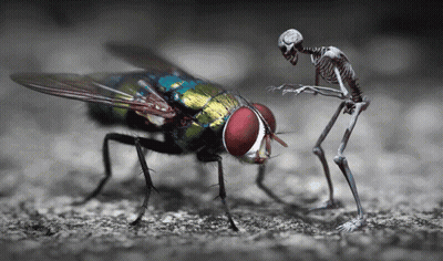 Skeleton Standing Next To Fly With Red Head GIF