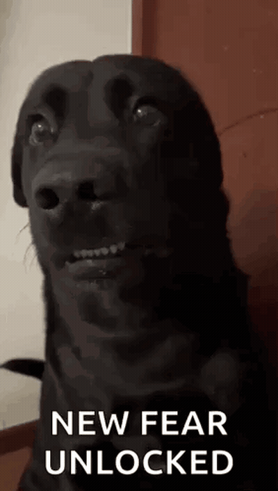 Skeleton Teeth Animeclub GIF