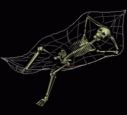 Skeleton Waiting On A Hammock