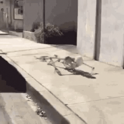 Skeleton Walking On Sidewalk Next To Hole GIF