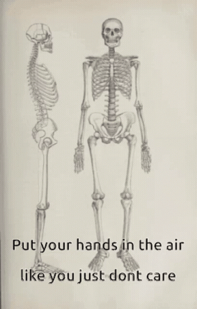 Skeleton With Hands In The Air Like You Just Don't Care GIF