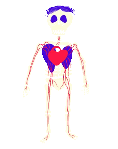 Skeleton With Heart Sticker
