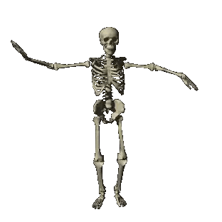 Skeleton With Outstretched Arms And Skull Sticker