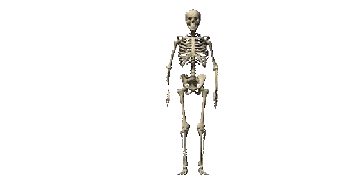 Skeleton With Skull Sticker
