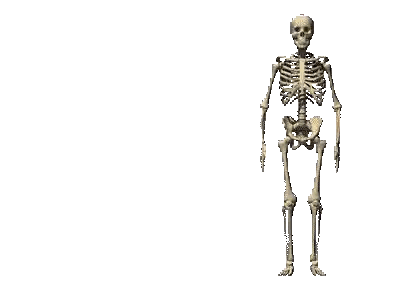 Skeleton With Skull Sticker