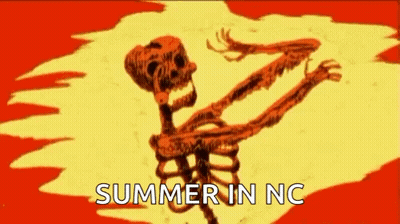 Skeleton With Summer In NC GIF