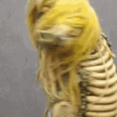 Skeleton With Yellow Wig GIF