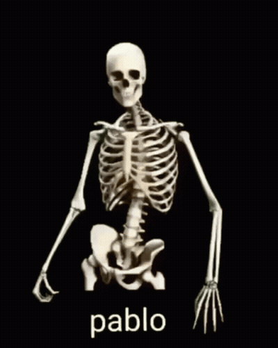 Skeletons Riding Horses GIF