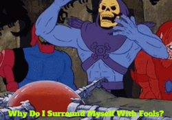 Skeletor Why I Surround Myself With Fools GIF