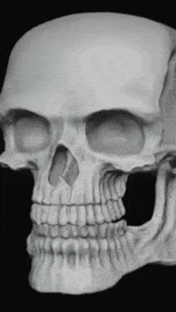 Skelly Head Smirk GIF