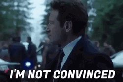 Skeptical David Duchovny Not Convinced GIF