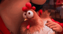 Skeptical Rooster Getting Pets Suspicious  GIF