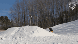 Ski GIF