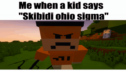Skibidi Ohio Meme GIF