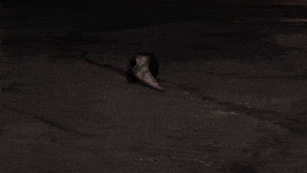 Skibidi Toilet Zombie Universe Monsterup GIF