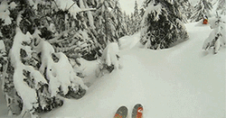 Skiing Race Winter Game GIF