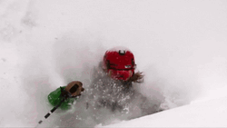 Skiing Snow Head Crash GIF