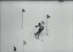 Skiing Winter Olympics GIF