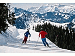 Skiing Winter Race GIF