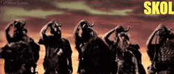 Skol Vikings Made Us Proud GIF