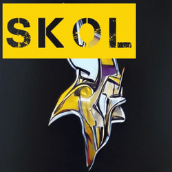 Skol Vikings Won It All GIF