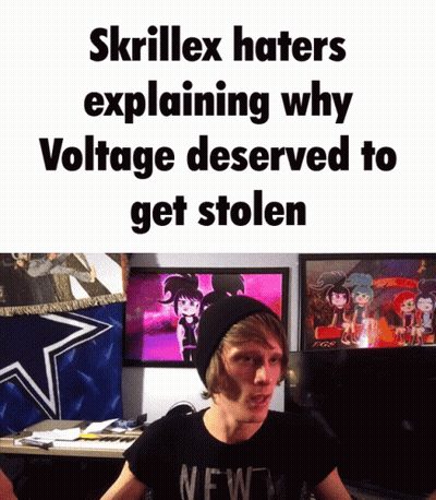 Skrillex Haters Explaining Why Voltage Deserved To Get Stolen GIF