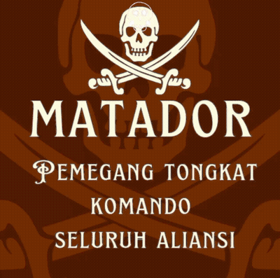 Skull And Crossed Swords Matador Poster GIF