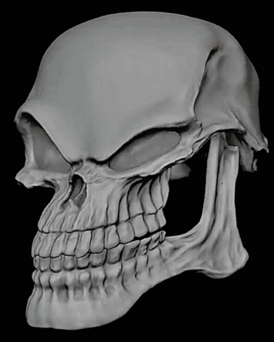 Skull Drawing With White Eye