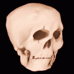 Skull Meme Jiggly Skeleton GIF