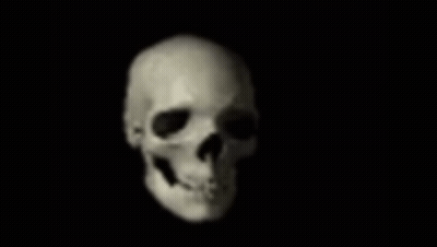 Skull on Black Background