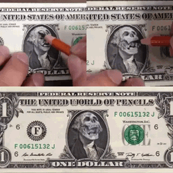 Skull Portrait In Dollar Bill