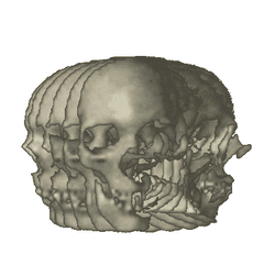 Skull Spinning Skull GIF