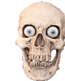 Skull Sticker GIF